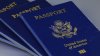Avería nacional afecta verificación de pasaportes estadounidenses: Secretario de Estado de Illinois